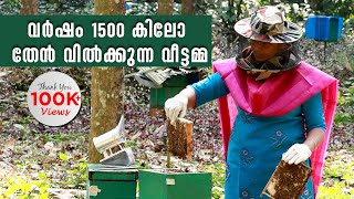 ഇത്രയ്ക്കും എളുപ്പമായിരുന്നോ തേനീച്ച കൃഷി  Success Story of Honey Bee Farming  Beekeeping Tips [upl. by Yolane]