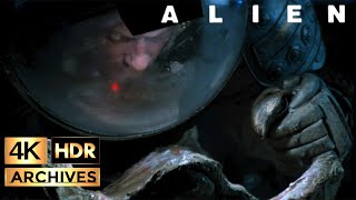 Alien  4K  HDR  Kane Finds the Egg Chamber on LV426 1979 [upl. by Nelyak]