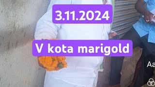 v kota flowers rose 3112024 video food viralvideo trending flowers marigold vkota fyp [upl. by Ydennek854]