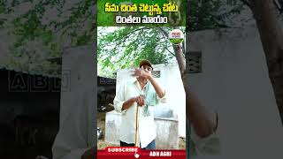 ఎనకట ఎక్కడబడితే అక్కడుండేవి ఈ చెట్లు చాలా ప్రొటీన్స్ ఉండే కాయలు దీనివి   ABN Agri shorts [upl. by Llehcal]