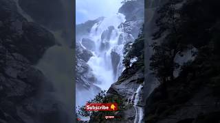 Dudhsagar water falls in Goa dudhsagarwaterfalls waterfall shorts trending [upl. by Hesta904]