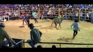 segundo día de jaripeo en sn bernardo mixtepec [upl. by Gaston]