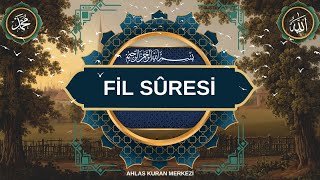 Fil Sûresi  Ayet Meali  Kâbe İmamı  keşfet kuran video edit quran [upl. by Friday]