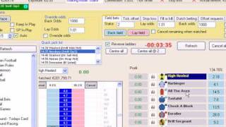 Bet Assistant software UK race [upl. by Auqeenwahs]