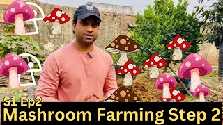 S1 Ep2 Mashroom farming step 2  Mashroom ki kheti  Mashroom business  Singham Trader youtuber [upl. by Klemens387]