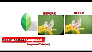 How to Add Gradients Snapseed [upl. by Poole]