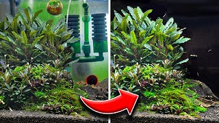 5 Easy Tips for Making a Good Aquarium Even Better [upl. by Jill624]