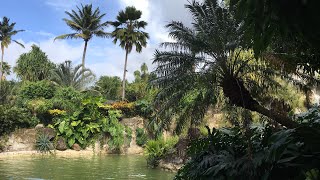 Le Nord Basse Terre  Holidays to  Guadeloupe 4K  FRENCH CARIBBEAN HD [upl. by Omar]