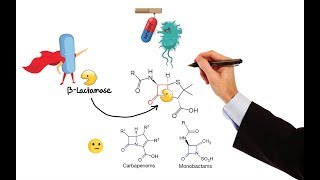 Pharmacology – ANTIBIOTICS – CELL WALL amp MEMBRANE INHIBITORS MADE EASY [upl. by Atilem]