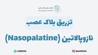 تزریق بلاک عصب نازوپالاتین Nasopalatine  دکتر اشکان بادکوبه [upl. by Franchot517]