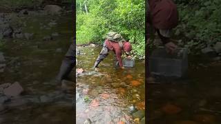 Rockhounding  Mosquitos and porphyry [upl. by Marysa]