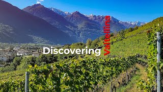 Discovering Wine Country Valtellina in Northern Italy [upl. by Eart610]