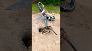 DIY Snake Trap shortvideo pestcontrol shorts [upl. by Enimasaj599]