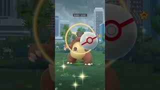 IVE GOT TODAY MEGA KANGASKHAN  IV 91   POKEMON GO GAMEPLAY  DARK VENOM ❤️ [upl. by Danas]