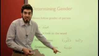 Al Kitaab 12  Gender in Arabic [upl. by Cusick789]