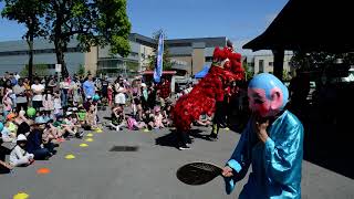 Lion Dance Team performs at Lake Ontario Park 18 May 2024 [upl. by Lirbaj]