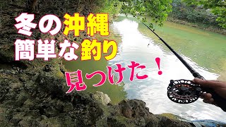 冬の沖縄で簡単な釣りを見つけました。「ヘチ釣り」や「ちょい投げ」用のタックル 餌には冷凍オキアミを使っています。 [upl. by Etteiluj]