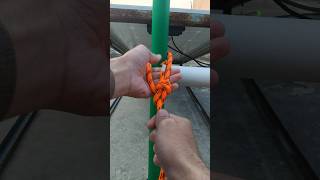 How to tie double bowline knot shortshortvideo [upl. by Ynohtnakram]