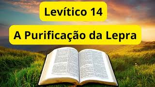 Levítico 14  A Purificação da Lepra  Bíblia em Áudio [upl. by Atteuqahc835]