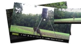 Moultrie Panoramic 150 [upl. by Eiboj]