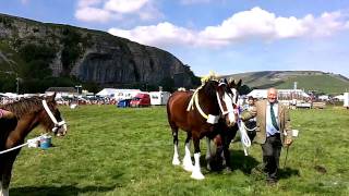 Kilnsey Show [upl. by Lichtenfeld]