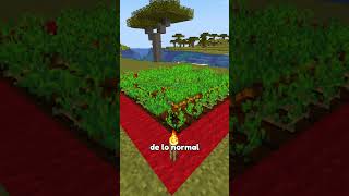 La mejor forma de hacer cultivos en Minecraft 🧐 [upl. by Anivram622]