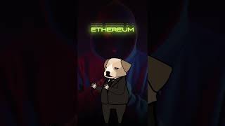 Massive Crypto Scam Dogeverse Multichain Launch Disaster [upl. by Shayla]