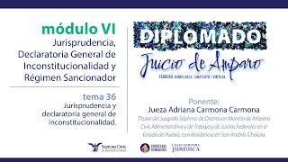 Lunes 20 de junio de 2022 Diplomado quotJuicio de Amparoquot edición 2022 Módulo VI [upl. by Nnylirret346]