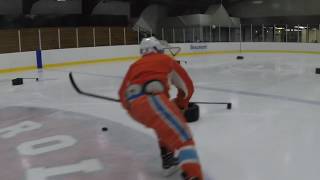 Stickhandling Hockey Training  4DHockeycom [upl. by Gearalt276]