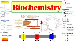 00 Biochemistry  Introduction to Syllabus  BPharmacy 2nd Semester [upl. by Particia]