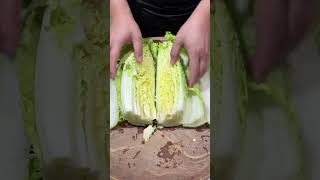 How to cut Cabbage amp Vegetables cutting Activity cuttingskils [upl. by Adara]