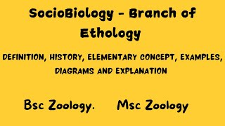 Sociobiology  Branch of Ethology bsczoology msczoology ethology [upl. by Toolis968]