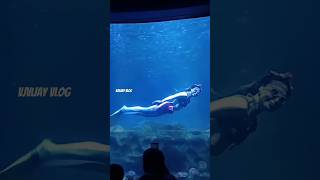 Mermaid  கடல் கன்னி  VGP Marine Kingdom Ecr Under Sea Water 🌊  VjVijay Vlog [upl. by Estevan308]