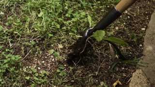 Weed Puller Tool  Grampas Weeder from Garrett Wade [upl. by Skipper]