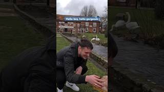 Banned Muzzled XLBully Grabs A Mans Hand And Touches His ❤️ dog puppy xlbully love dogwalk [upl. by Kurys]