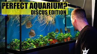 THE PERFECT AQUARIUM  Discus fish tank edition  The king of DIY [upl. by Eitra]