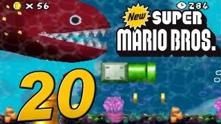 NEW SUPER MARIO BROS 👨🏼‍🔧 20 Gefräßiger Riesenaal [upl. by Notyalk]