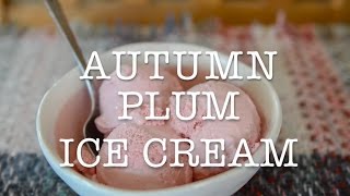 Autumn Plum Ice cream [upl. by Reisch]