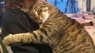 Cat Gives Owner 1 Final Long Hug Before Being Put Down Then The Vet Says quotWere Making A Mistakequot [upl. by Filip11]