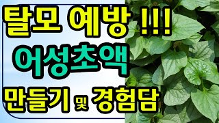 탈모예방탈모방지새치예방 어성초액 만들기 및 사용 경험담 어성초 [upl. by Oilime]