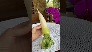 HOW to pickle daikon recipe asrm daikon [upl. by Anirav]