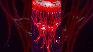 Atolla Jellyfish  Deep sea Twilight zone when Art Technology and science part 7 Artechouse DC [upl. by Notyep]