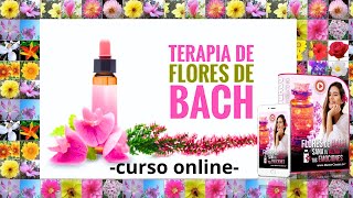 🔎 Cómo Aprender FLORES de BACH Paso a Paso [upl. by Wincer]