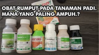 OBAT RUMPUT PADA TANAMAN PADI MANA YANG PALING BAGUS DAN AMPUH [upl. by Ahsitauq]