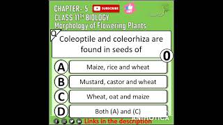 Morphology of flowering plant neet 2022 question mcq test class 11 biology [upl. by Al209]