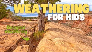 Weathering for Kids  What Is Weathering Fun Introduction to Weathering for Kids [upl. by Jem]