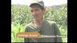 Conservación de forrajes Ensilaje de sorgo  Unidad 1 Introducción [upl. by Aubree]