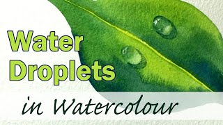 How to Paint Water Droplets on a Leaf in Watercolour  Step by Step Raindrop Tutorial for Beginners [upl. by Anawot]