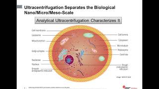 An Introduction to characterization of biomolecules using analytical ultracentrifugation [upl. by Nimzaj]