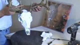 Skull Master European Deer Antler Mounting Kit Howto [upl. by Syla90]